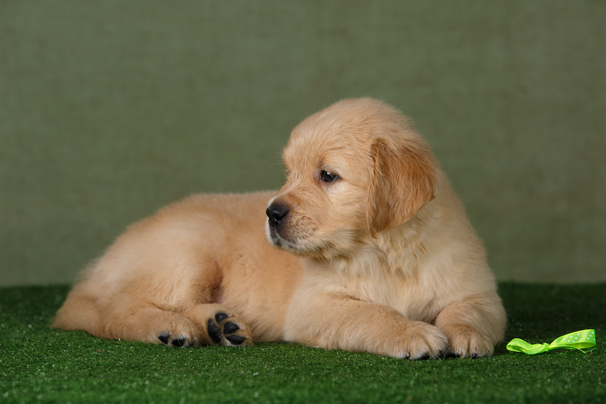 Поддержка и помощь