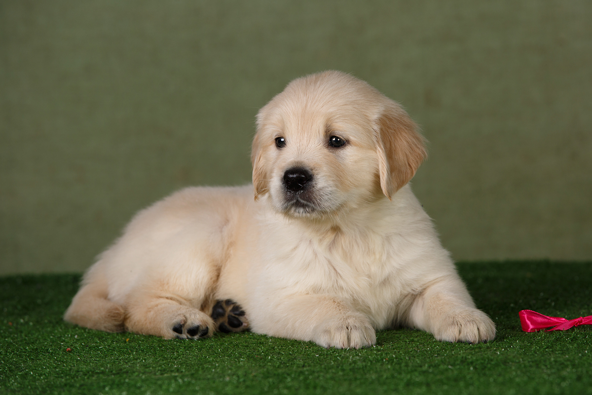 Более 200 выпускников